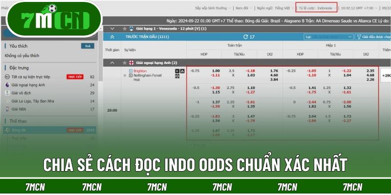 Hướng dẫn đọc Indo Odds chuẩn xác