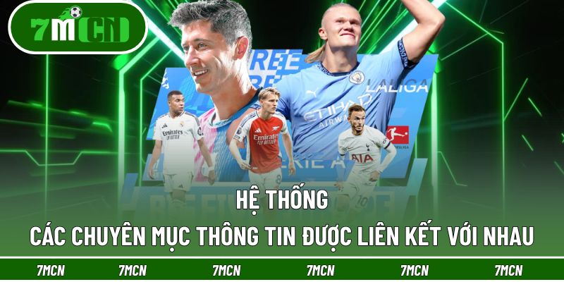 7M 22 Hệ thống các chuyên mục thông tin được liên kết với nhau