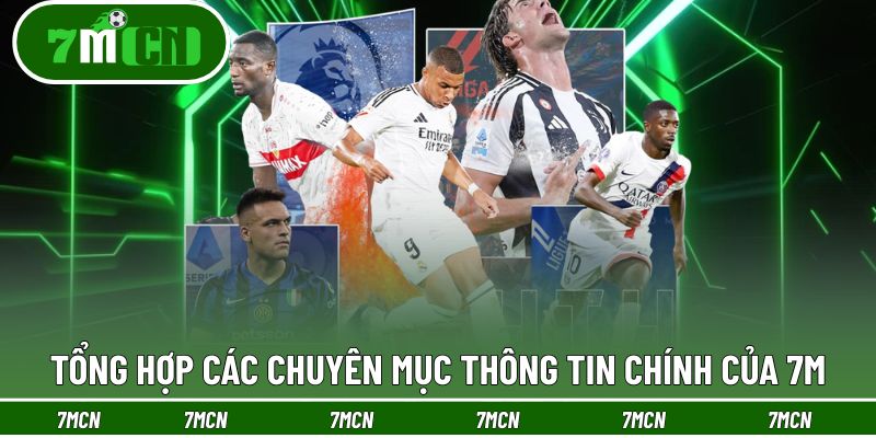 7M 18 Các chuyên mục nội dung hỗ trợ trong 7M