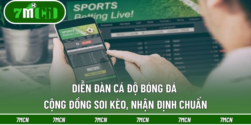 Diễn Đàn Cá Độ Bóng Đá