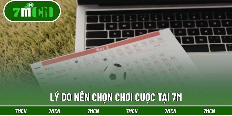 Lý do nên chọn chơi cược tại 7M