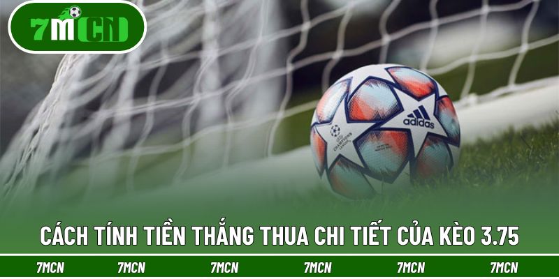 Hướng dẫn đầy đủ cách tính tiền khi chơi kèo 3.75