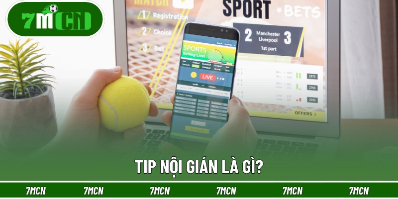 Tip nội gián là gì?